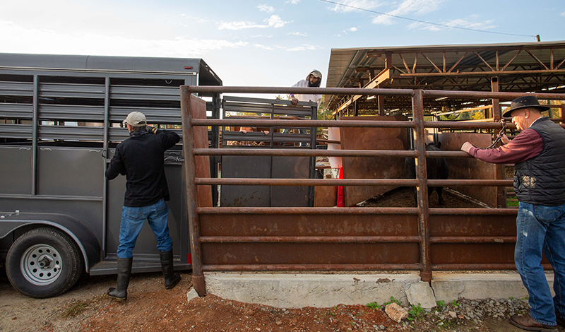 Barn/Unloading Area